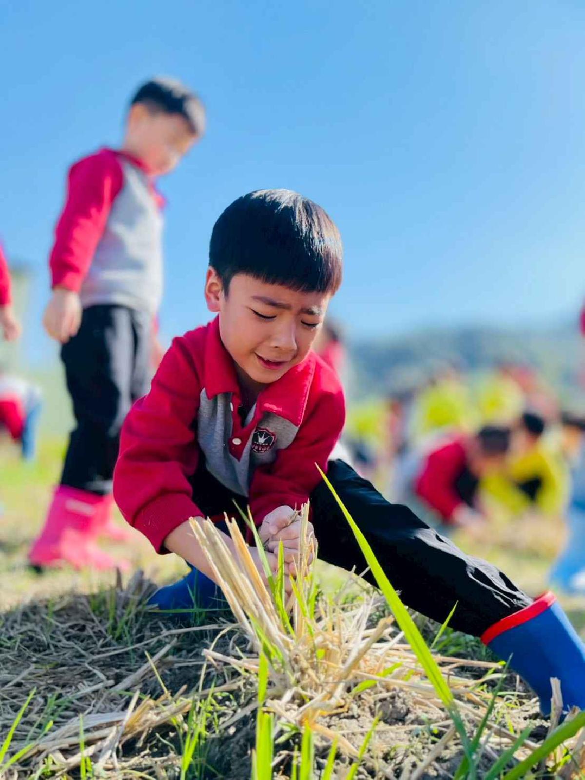 line_album_2026129_260129_204