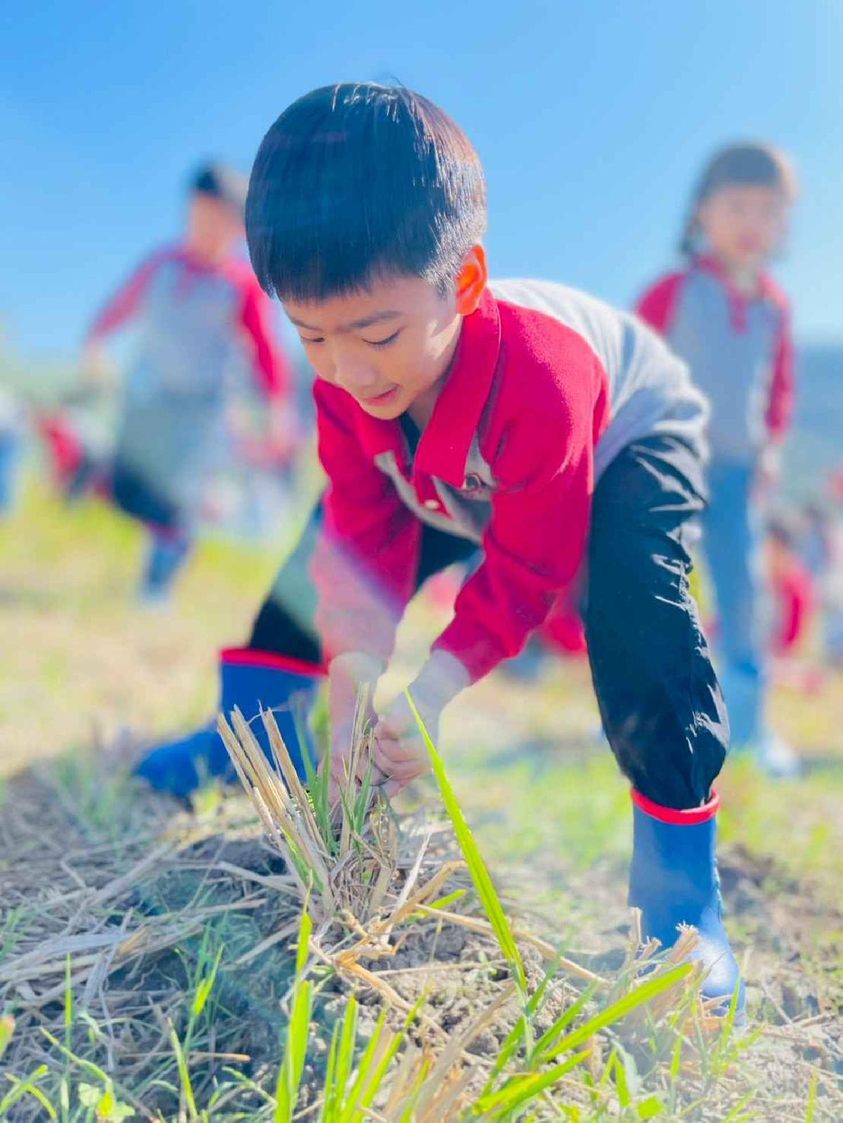 line_album_2026129_260129_206