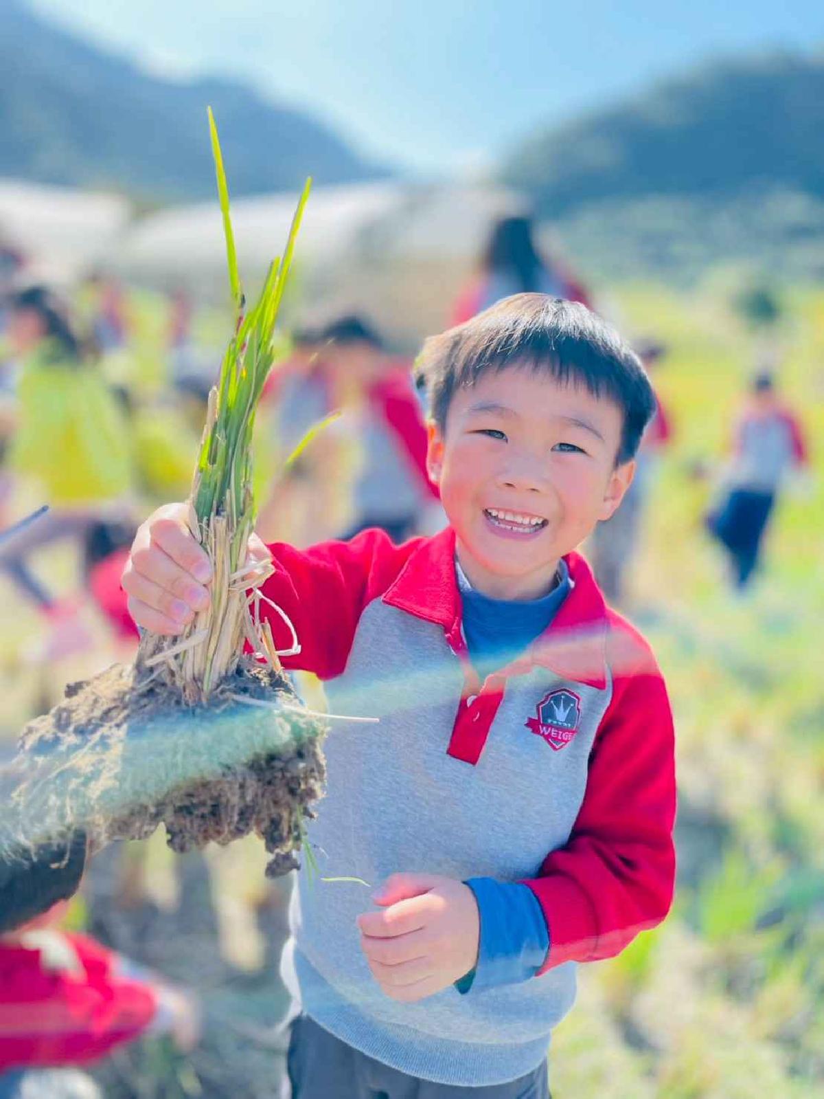 line_album_2026129_260129_217