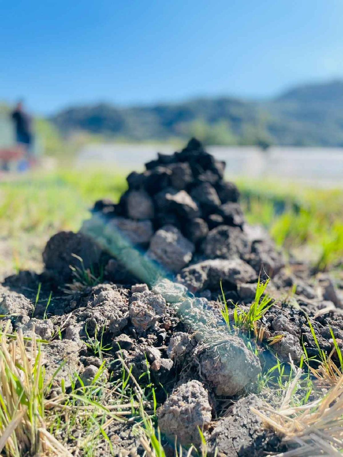 line_album_2026129_260129_221