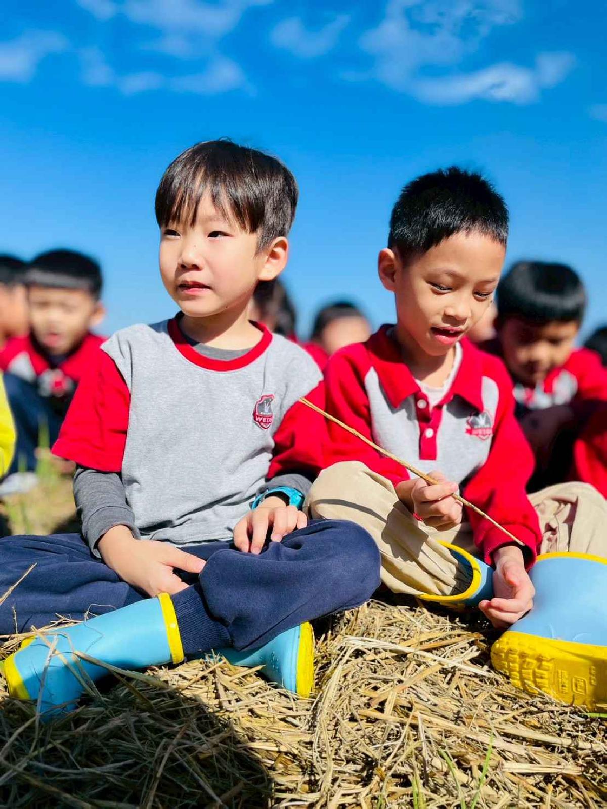 line_album_2026129_260129_239