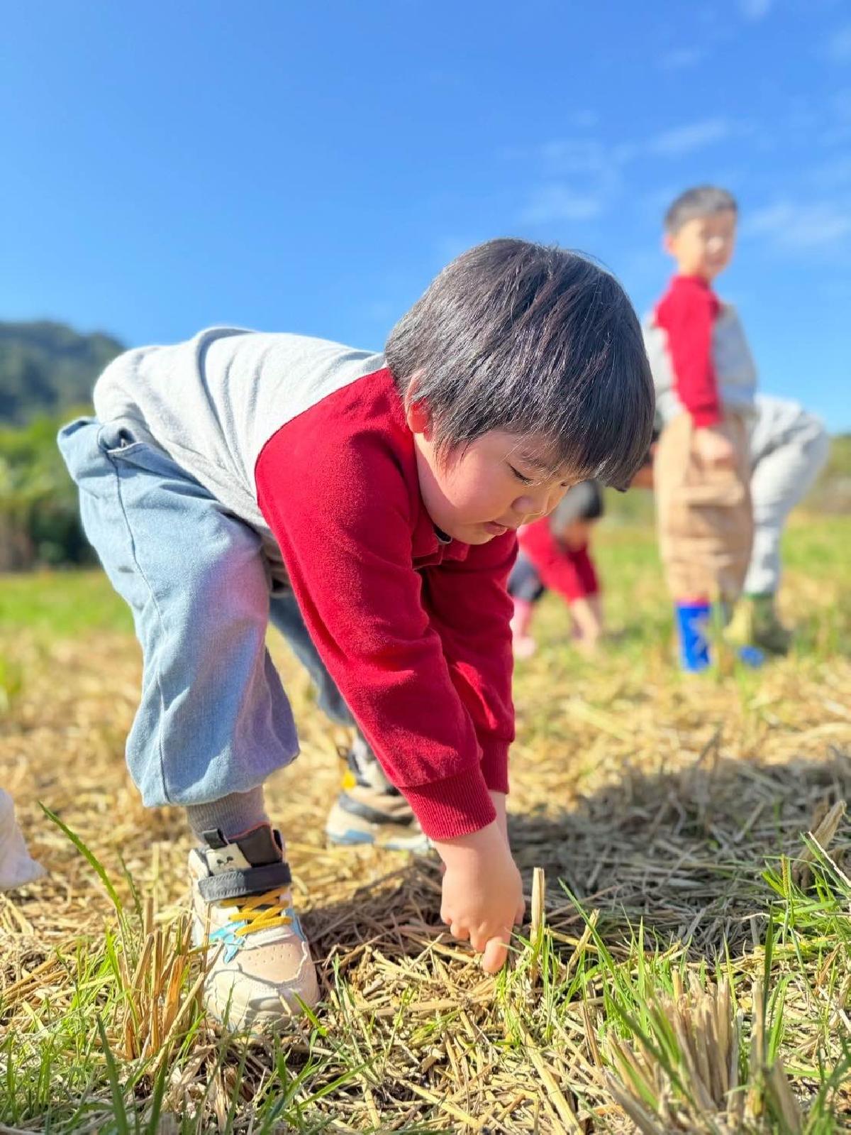 7328bbaf-8aa7-4bfa-823c-a2979744c7f0