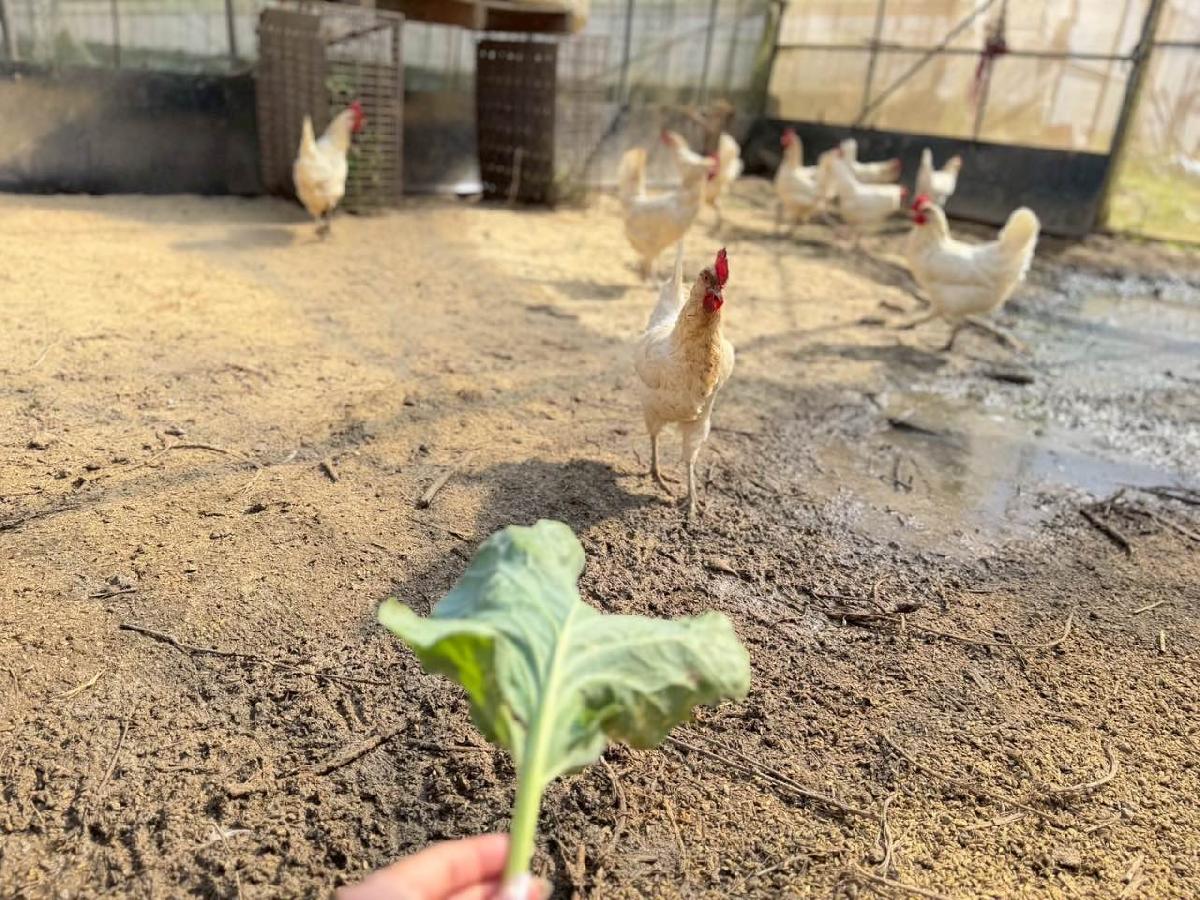 a7162096-8a58-49fc-8a00-969f2d91e7c3