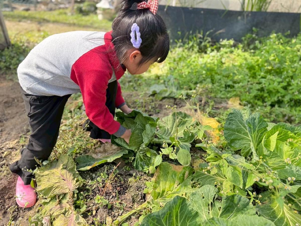 a2ebe778-b492-4f76-a3aa-154c41a2e972