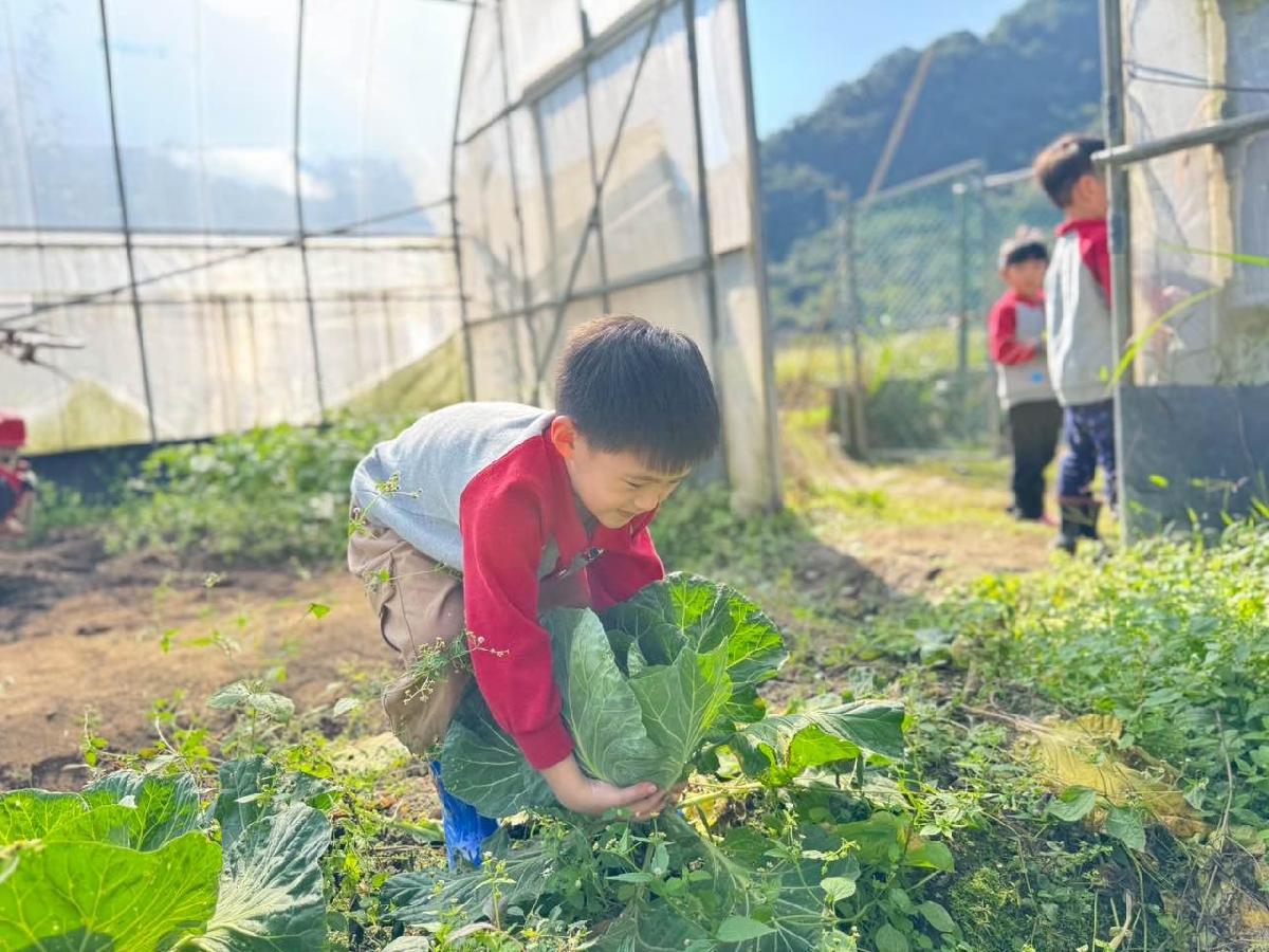 b0b7f992-98ec-4a02-b25f-165038511e7b