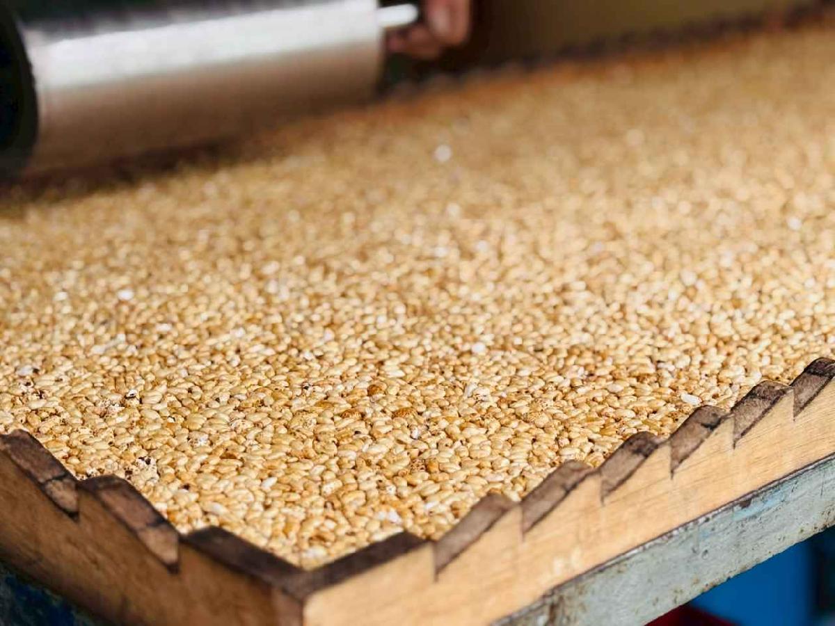 line_album_2026211 _2_260211_64