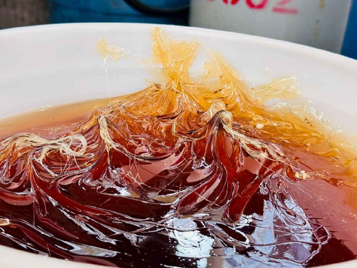 line_album_2026211 _2_260211_96