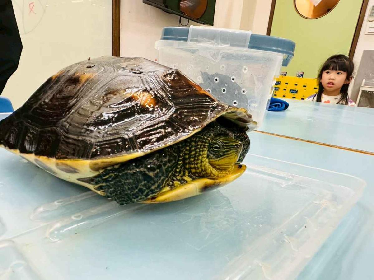 line_album_115.2.25課後三樓_260310_155