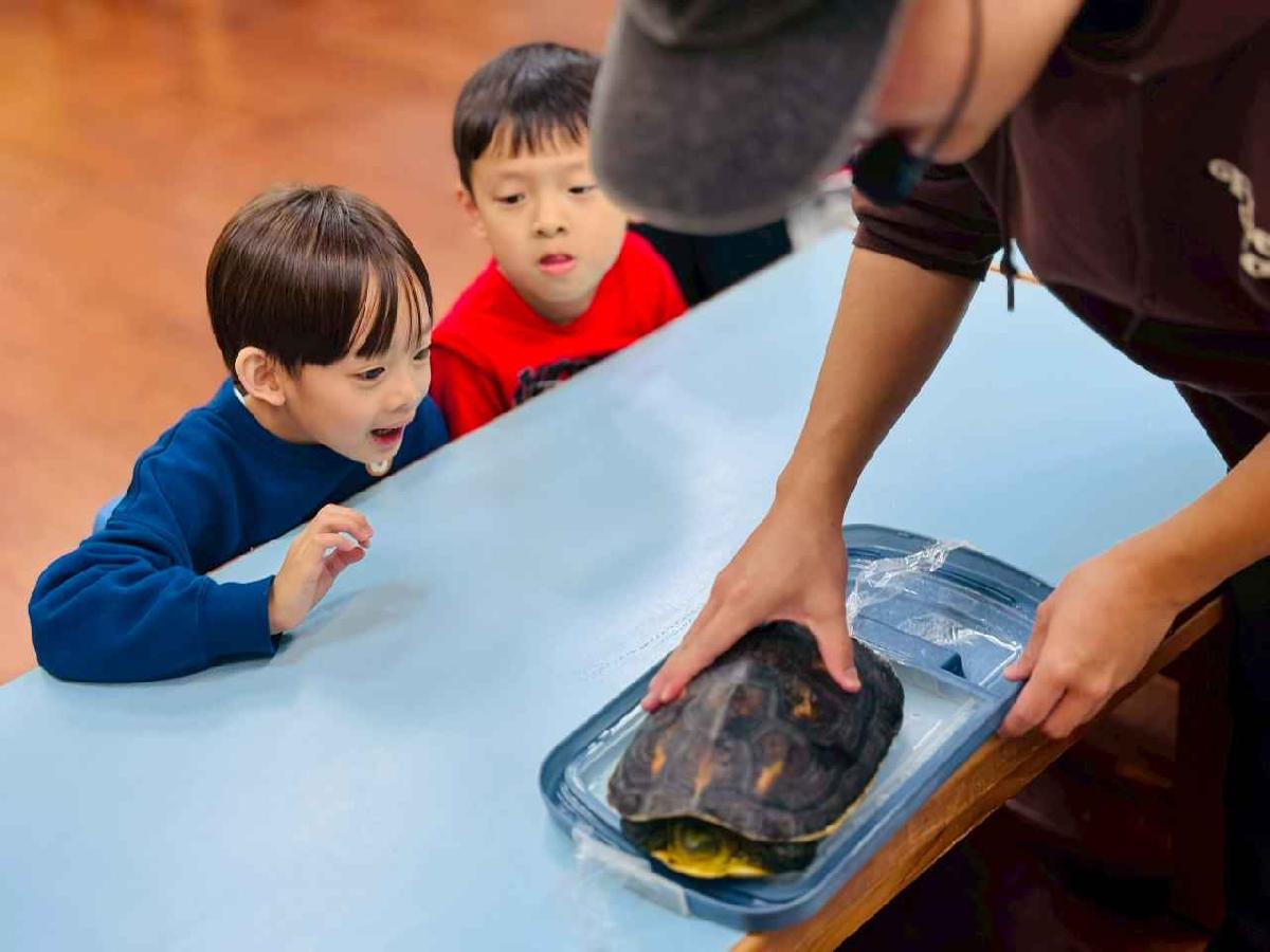 line_album_115.2.25課後三樓_260310_35