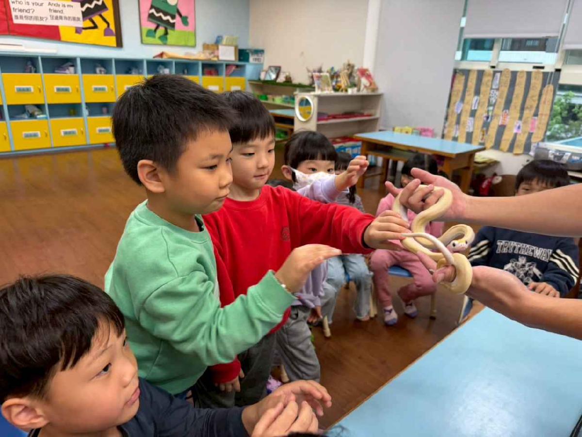 line_album_1150304課後昆蟲_260310_28