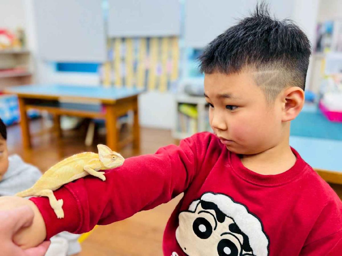 line_album_0311昆蟲a班_260312_6