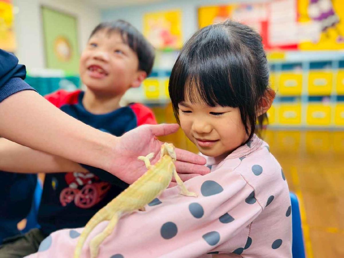 line_album_0311昆蟲a班_260312_16