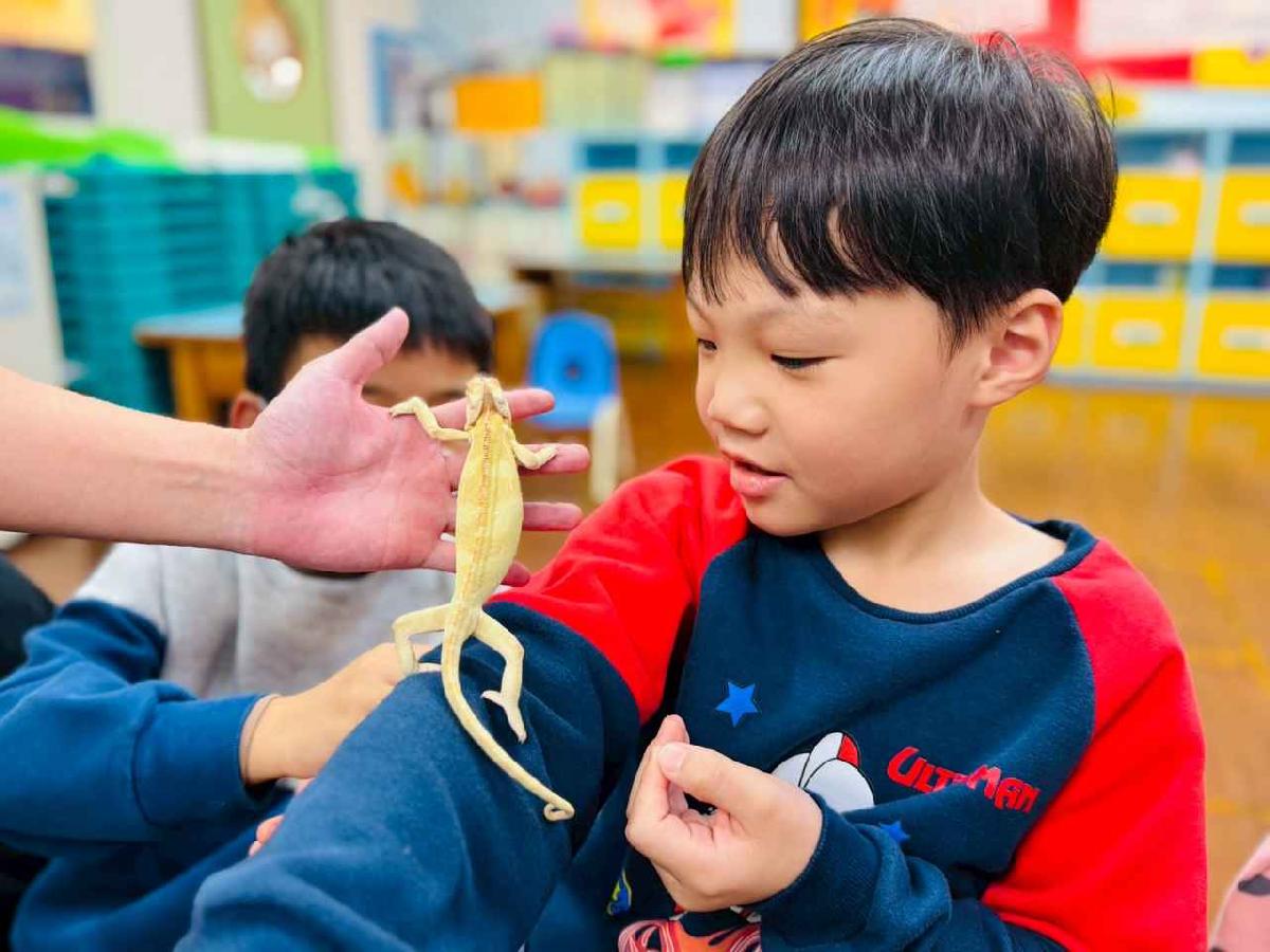 line_album_0311昆蟲a班_260312_22