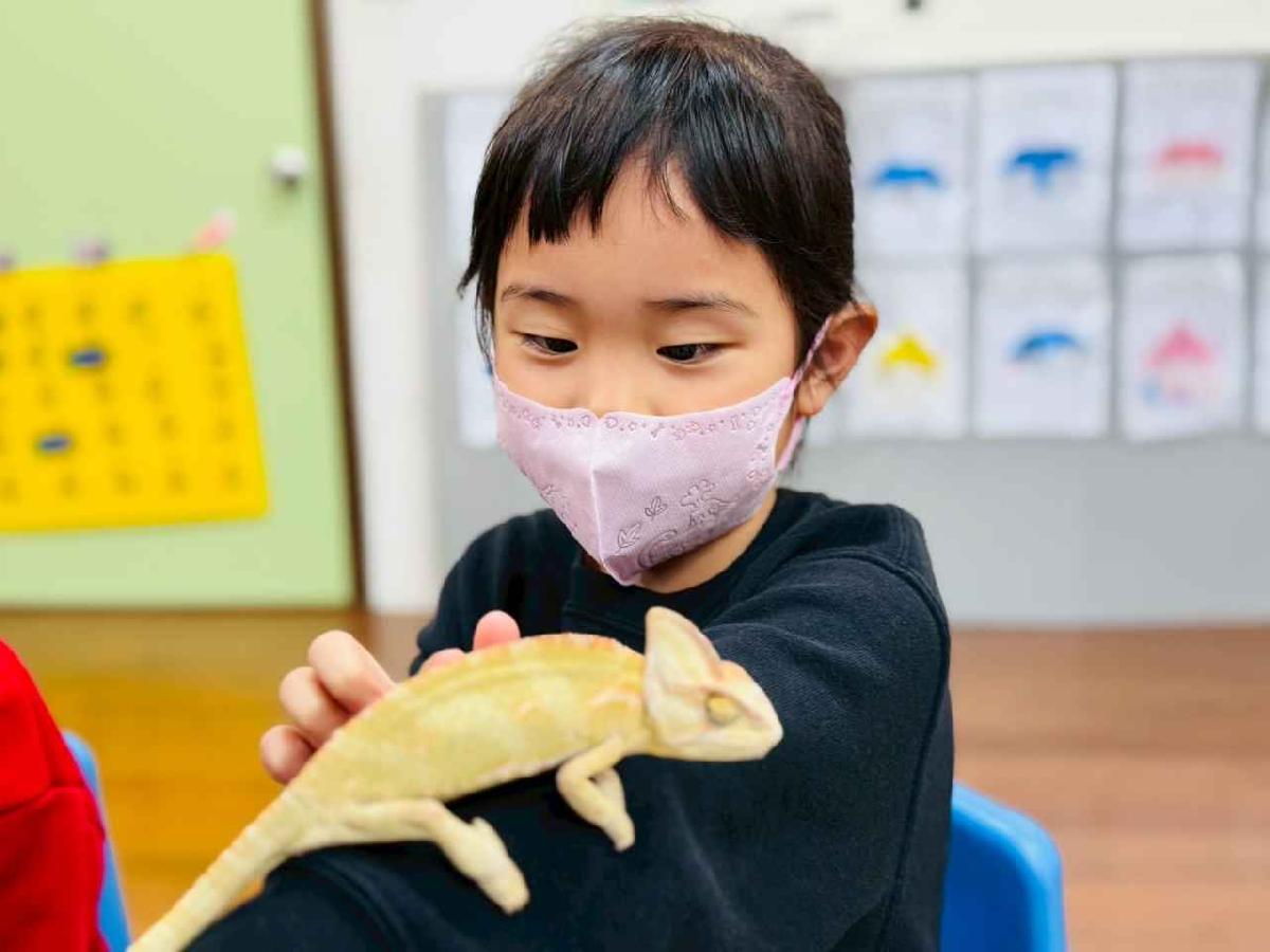 line_album_0311昆蟲a班_260312_34