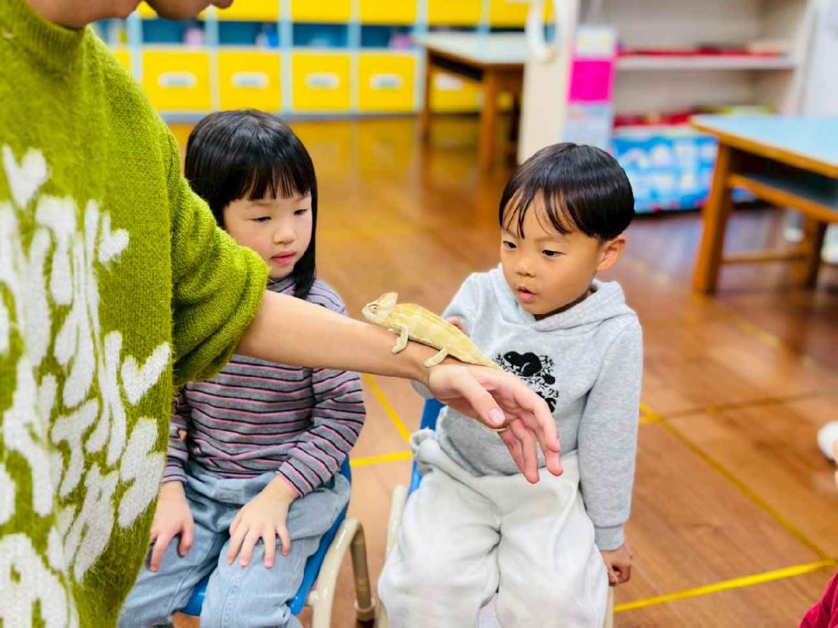 line_album_0311昆蟲a班_260312_58