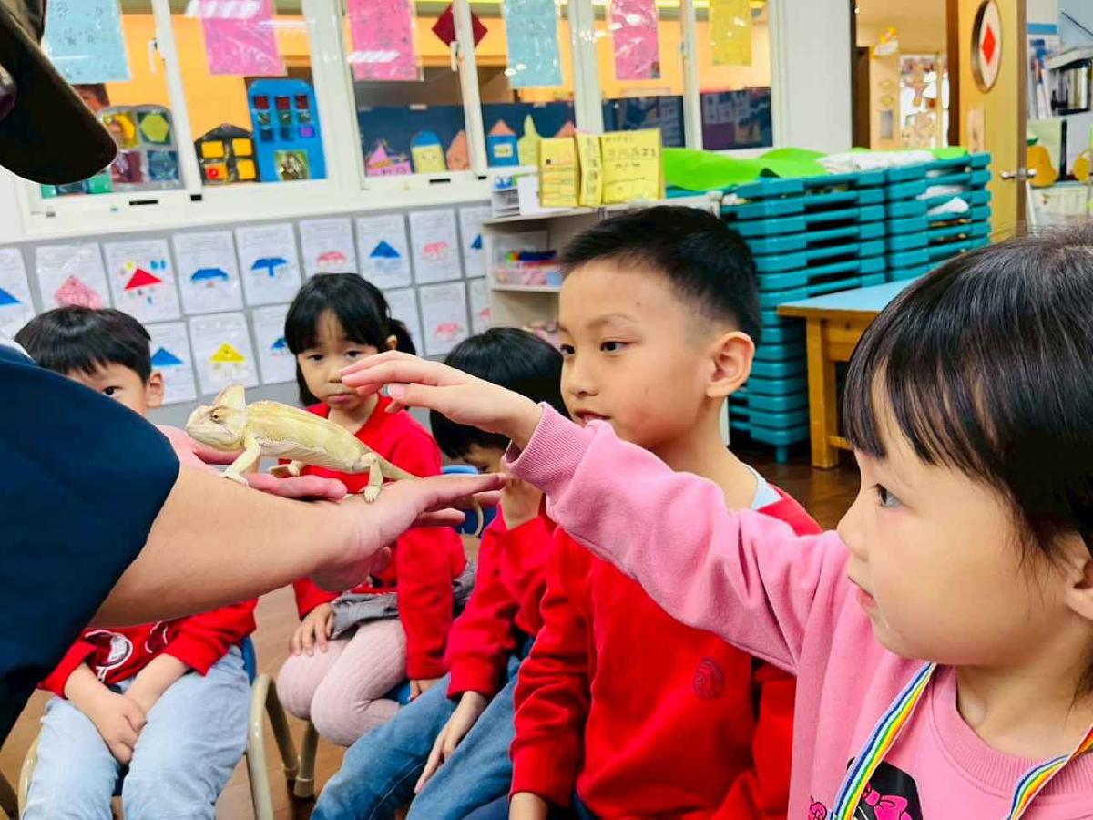 line_album_2026311_260312_126