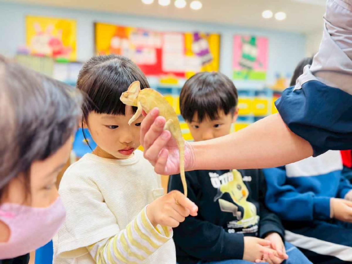 line_album_0311昆蟲a班_260312_160