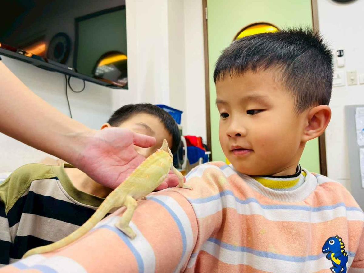 line_album_2026311_260312_71