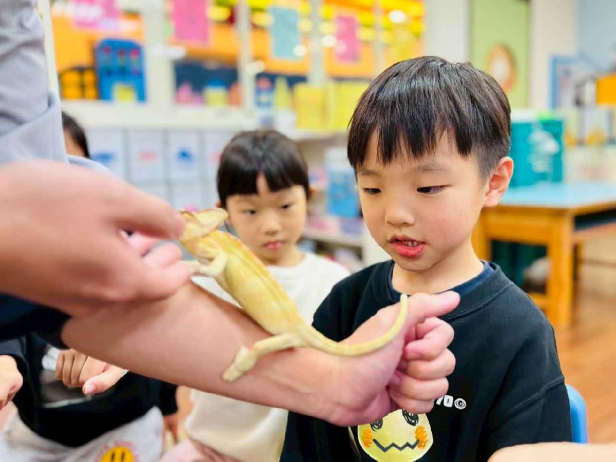 line_album_0311昆蟲a班_260312_25