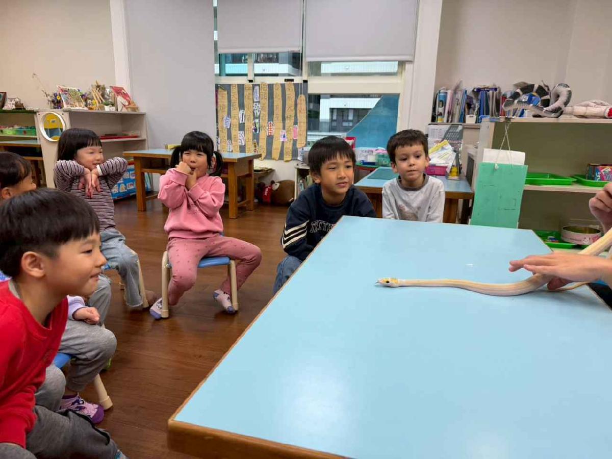 line_album_1150304課後昆蟲_260310_13