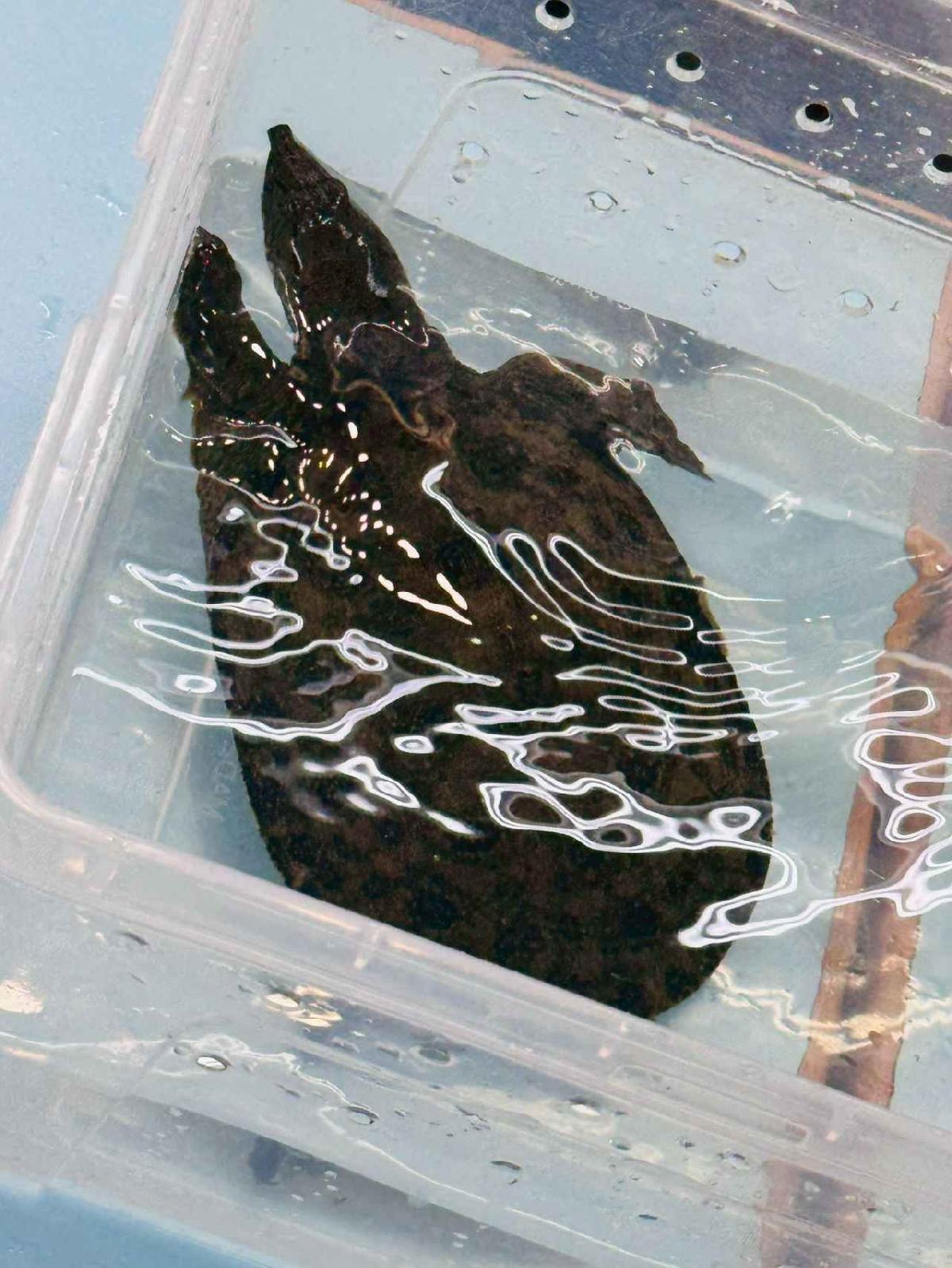 line_album_115.2.25課後三樓_260310_64